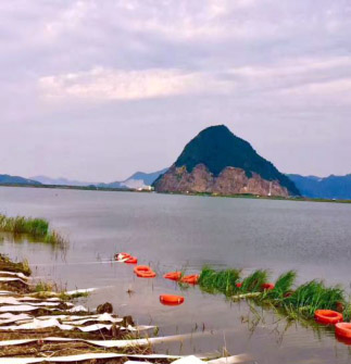 开元集团官网-不凡成绩非凡,相信品牌的实力